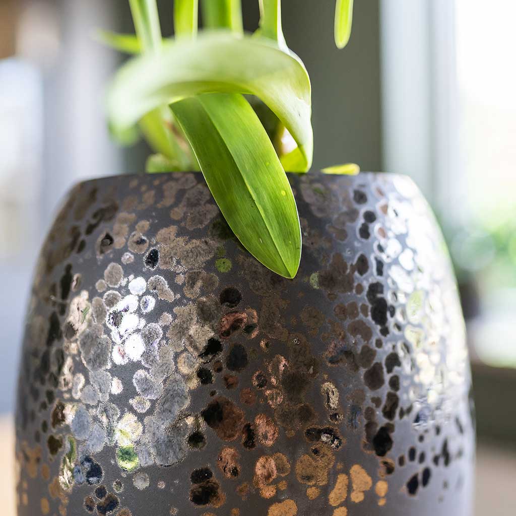 Kae Plant Vase Mocha Close Up