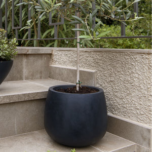 Kevan Natural Planter - Black On Outdoor Step