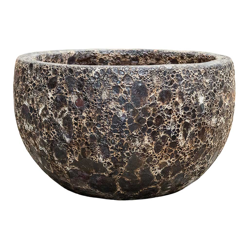 Lava Bowl Relic Planter - Black - Quality Planters | Hortology - HORTOLOGY