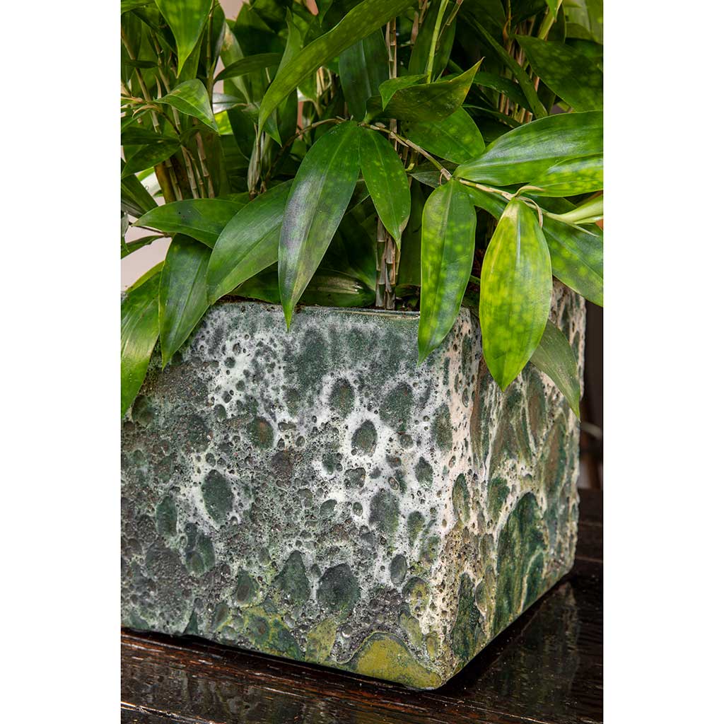 Lava Cube Relic Planter Jade Lifestyle Close-Up