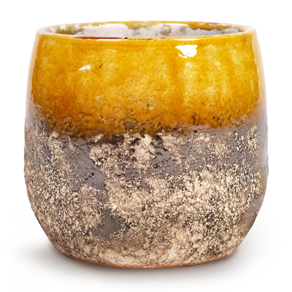 Lindy Plant Pot - Ochre Small