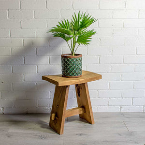 Livistona Rotundifolia Footstool Palm & Liam Turquoise Plant Pot