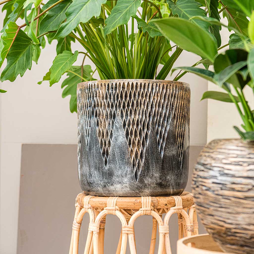 Luxe Lite Comet Cylinder Planter - Bronze - Small & Houseplant