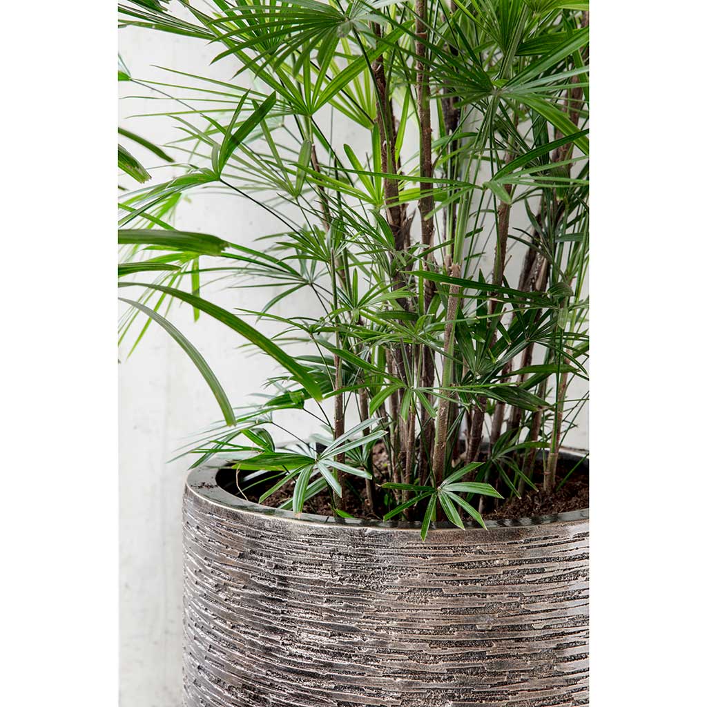 Luxe Lite Wrinkle Cylinder Planter Bronze Lifestyle Close-Up