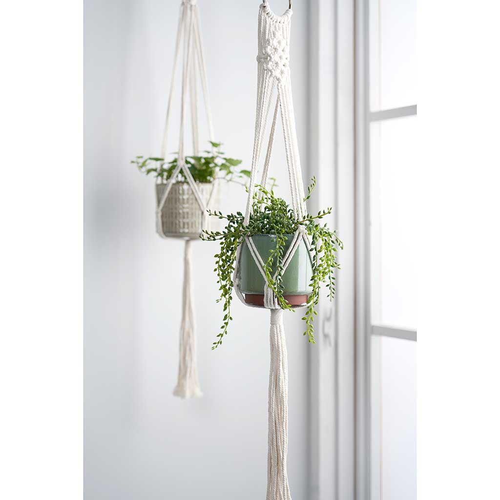 Macrame Plant Pot Hanger Display