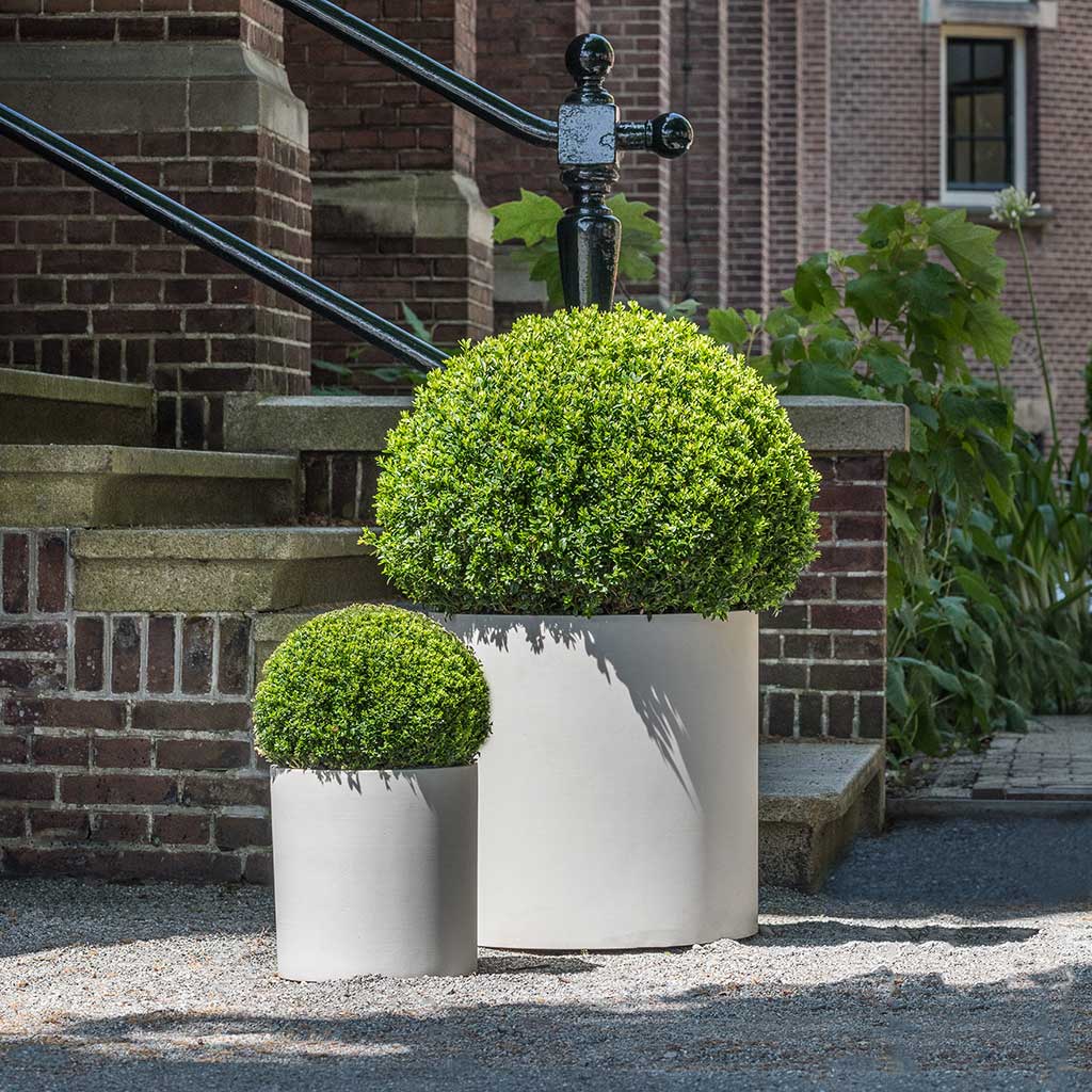  Max Refined Planters Natural White & Hedge Plants