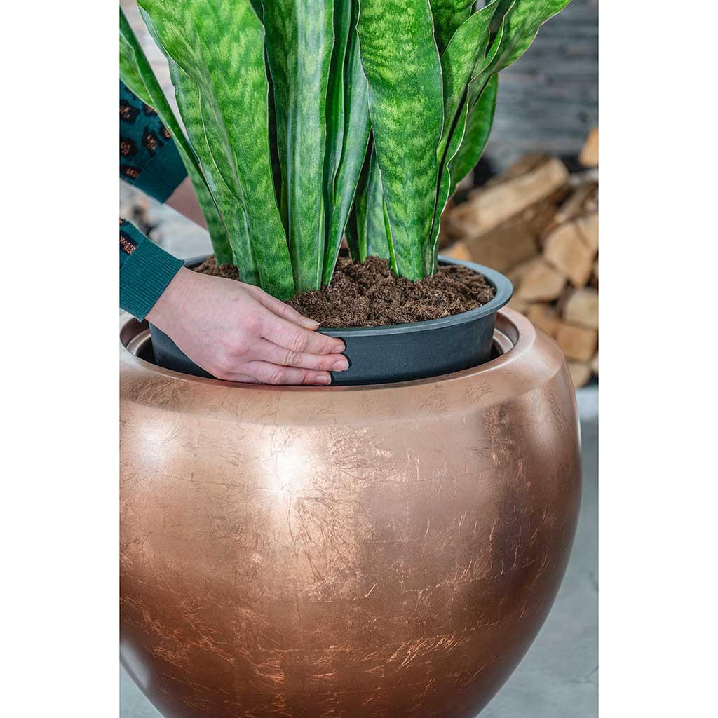 Metallic Couple Plant Pot Matt Copper with Sansevieria Lifestyle Close-up