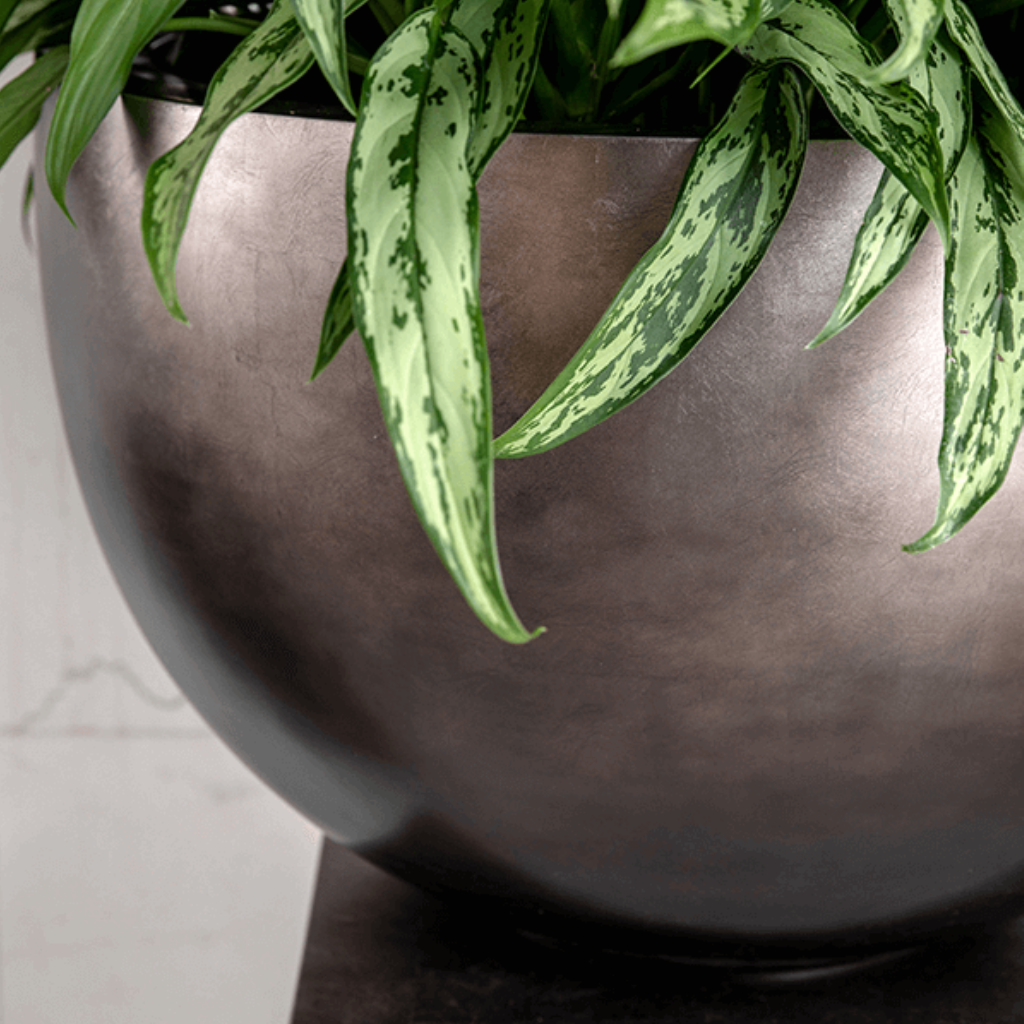 Metallic Plant Bowl - Matt Coffee - Close Up