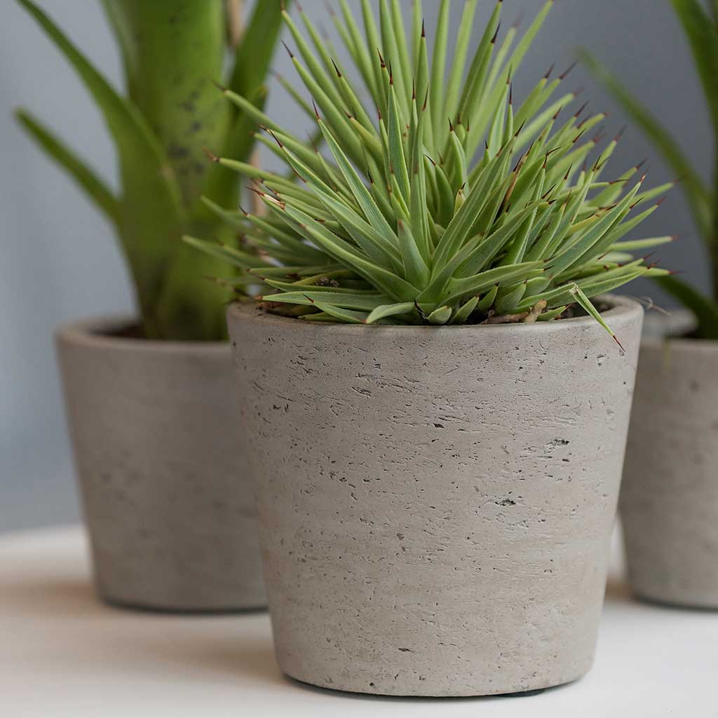 Mini Bucket Plant Pot Grey Washed - Medium