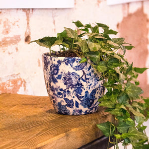 Monza Plant Pot - Vintage Blue & Ivy