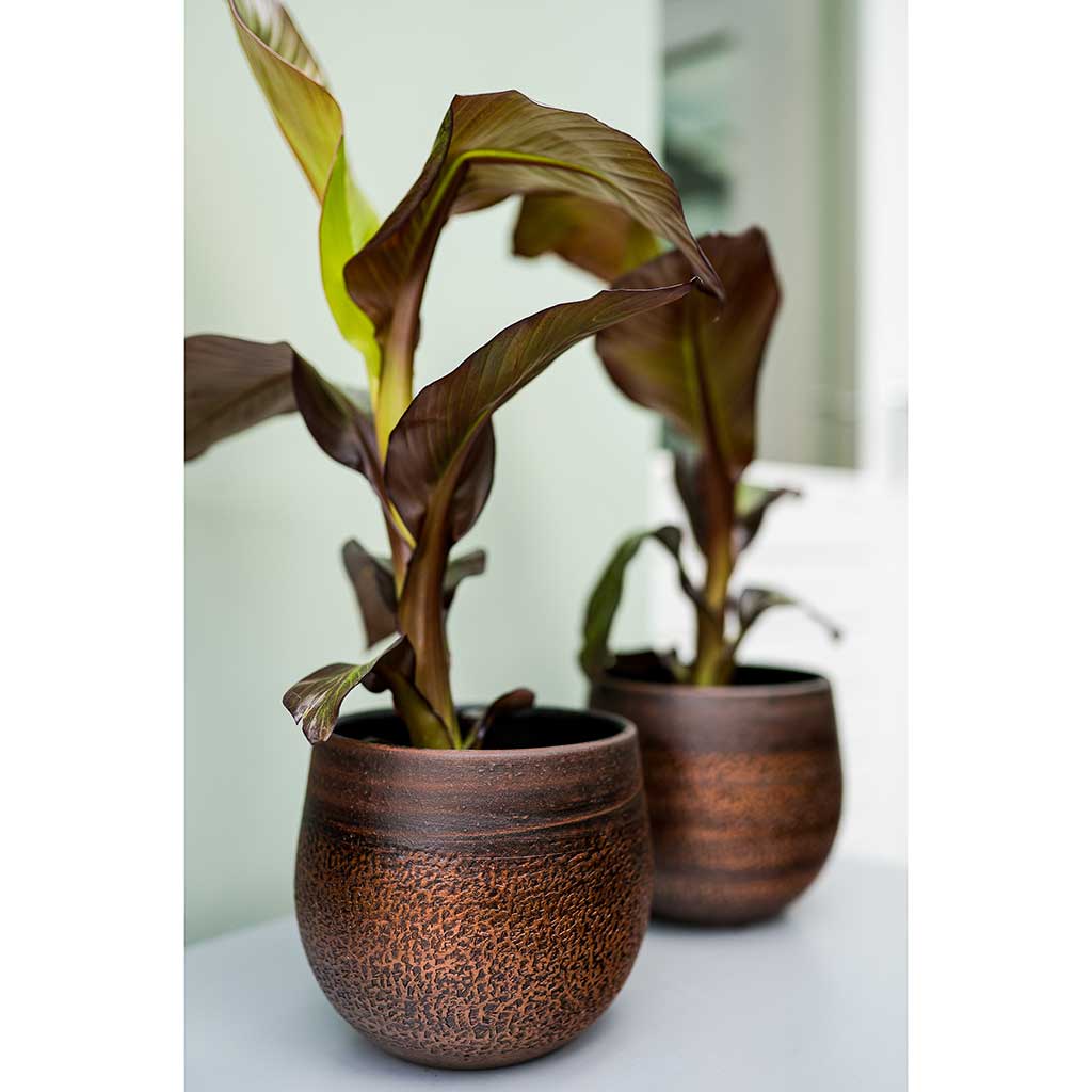 Mya Plant Pots Shiny Mocha & Houseplants