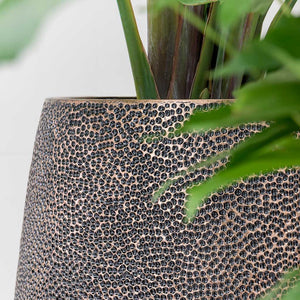 Opus Hit Darcy Planter - Gold Textures