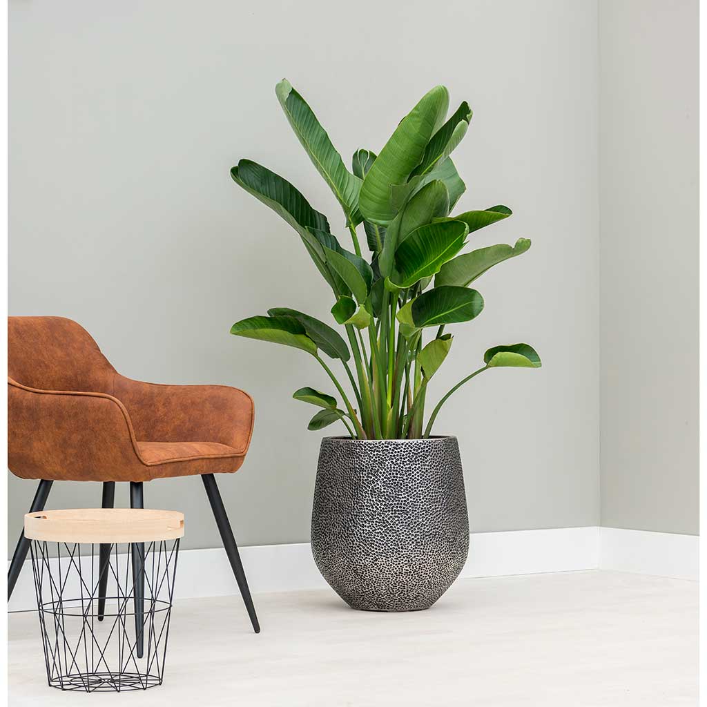 Opus Hit Darcy Planter Silver Lifestyle