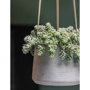 Patt Hanging Plant Pot - Grey Washed - Succulent