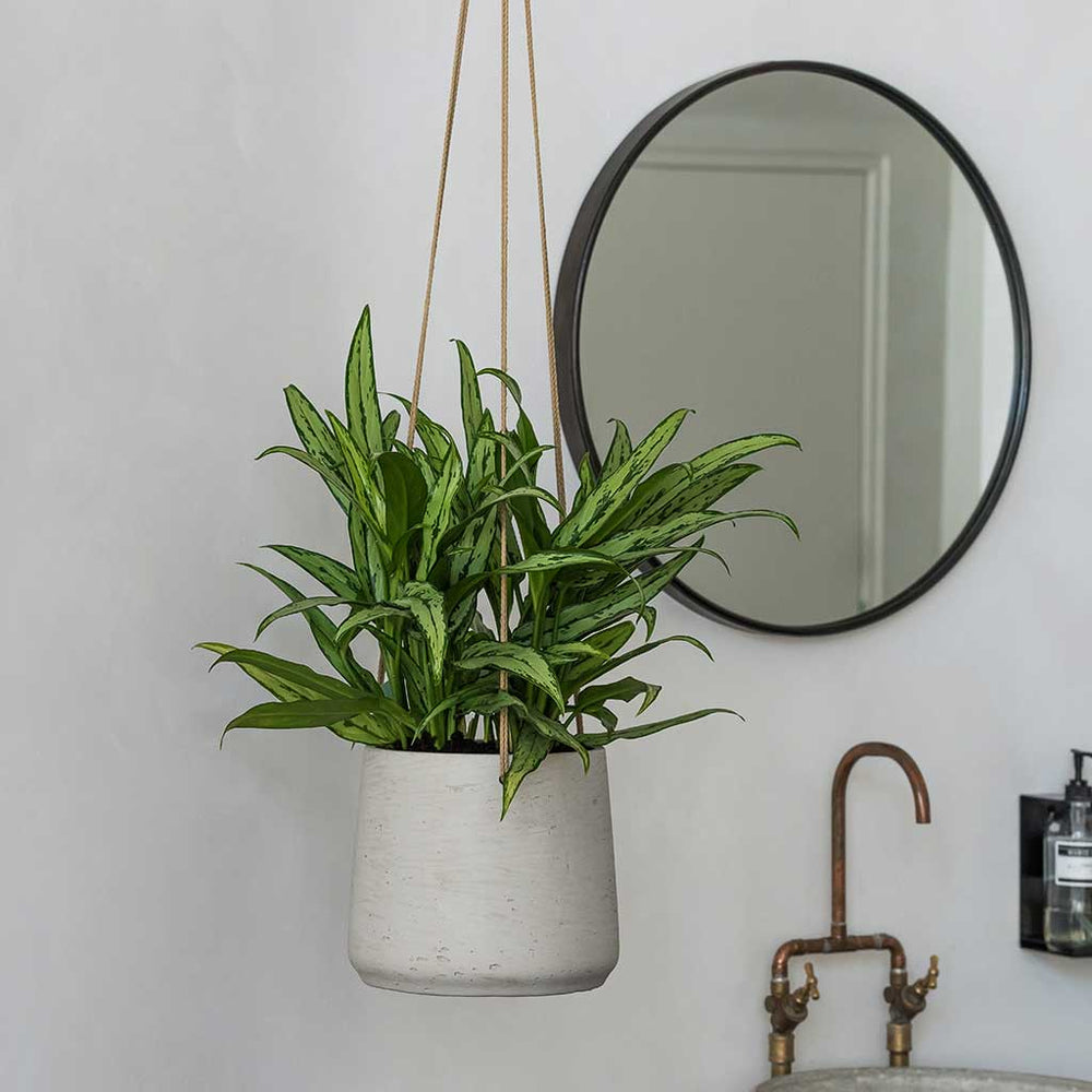 Patt Hanging Plant Pot - Grey Washed - Quality Plant Pots | Hortology ...