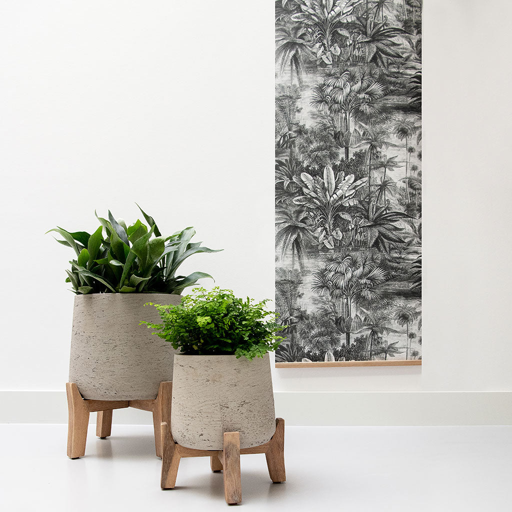 grey plant stand indoor Patt Plant Pot - Low Stand - Grey Washed | Hortology