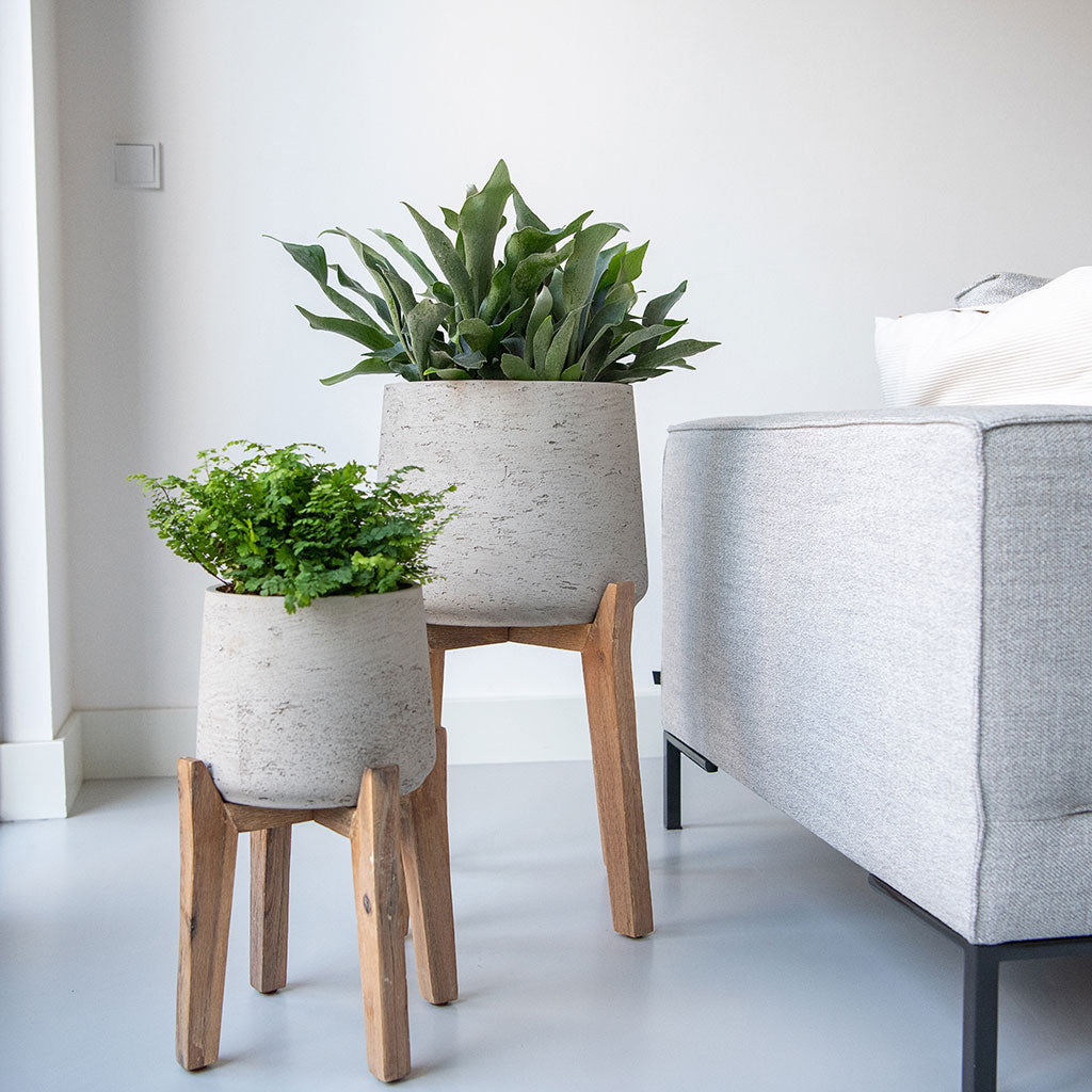indoor plant pot stands uk Patt Plant Pot - Tall Stand - Grey Washed | Hortology