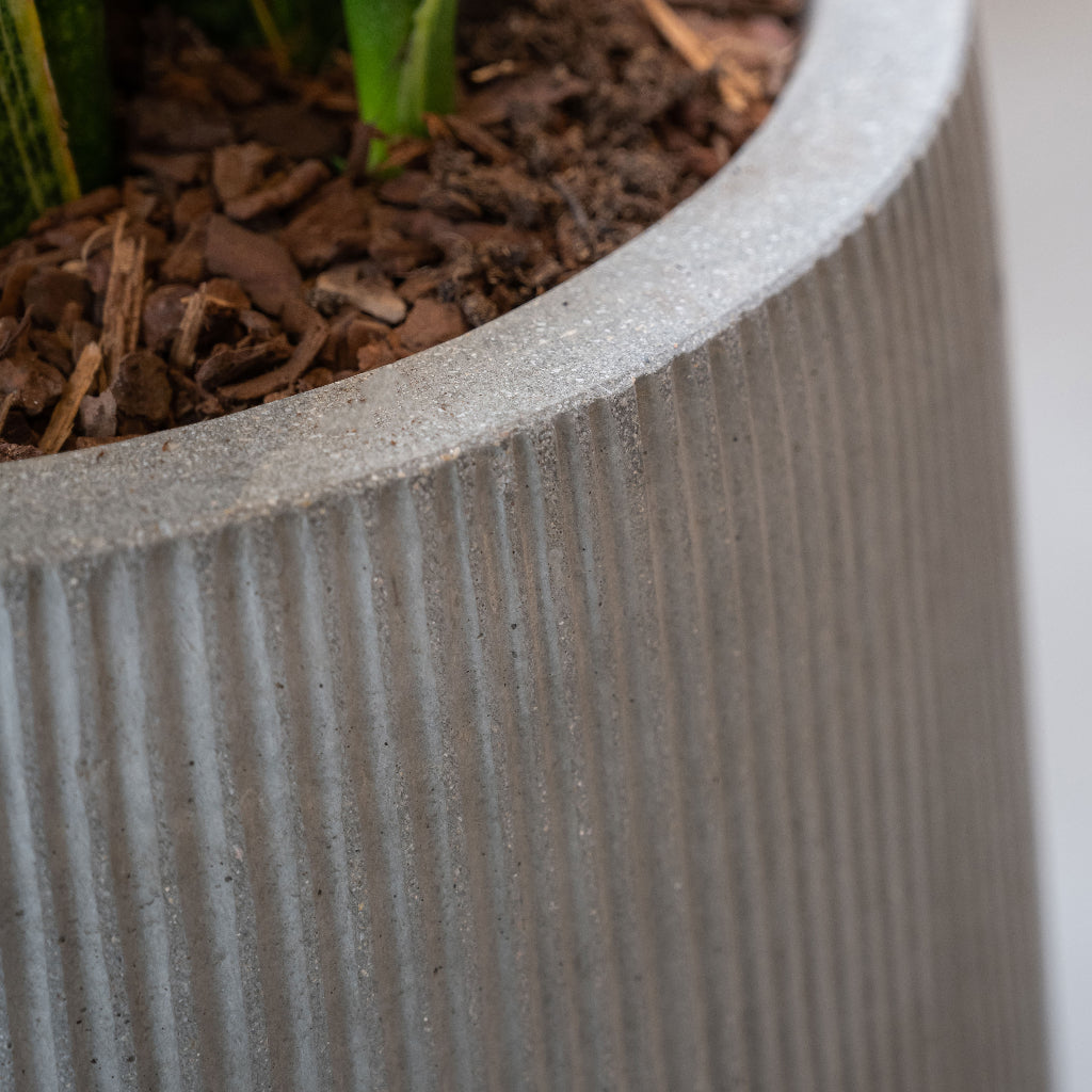 Patt High Plant Vase - Ridged Cement Close Up