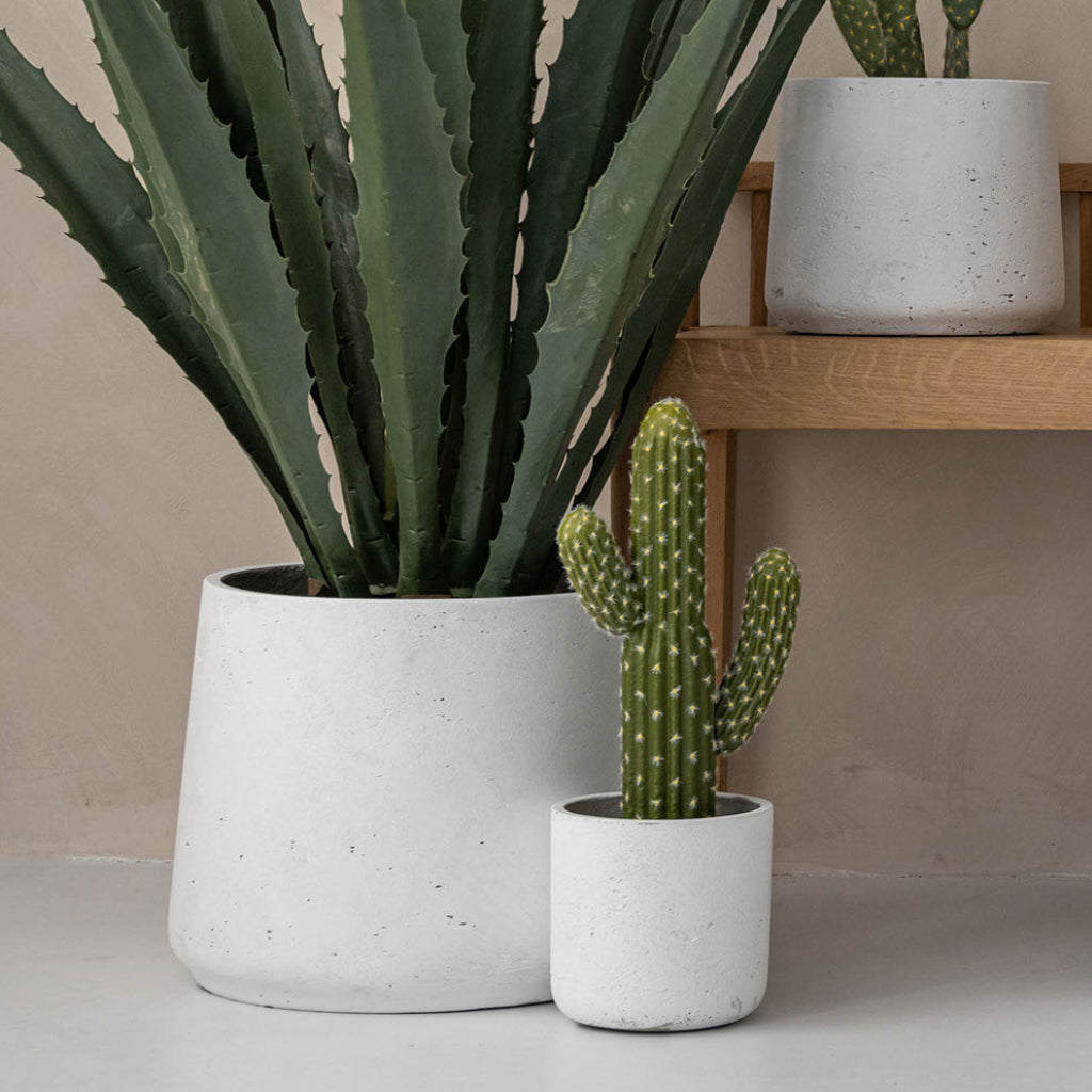 Patt Plant Pot - White Washed With Charlie