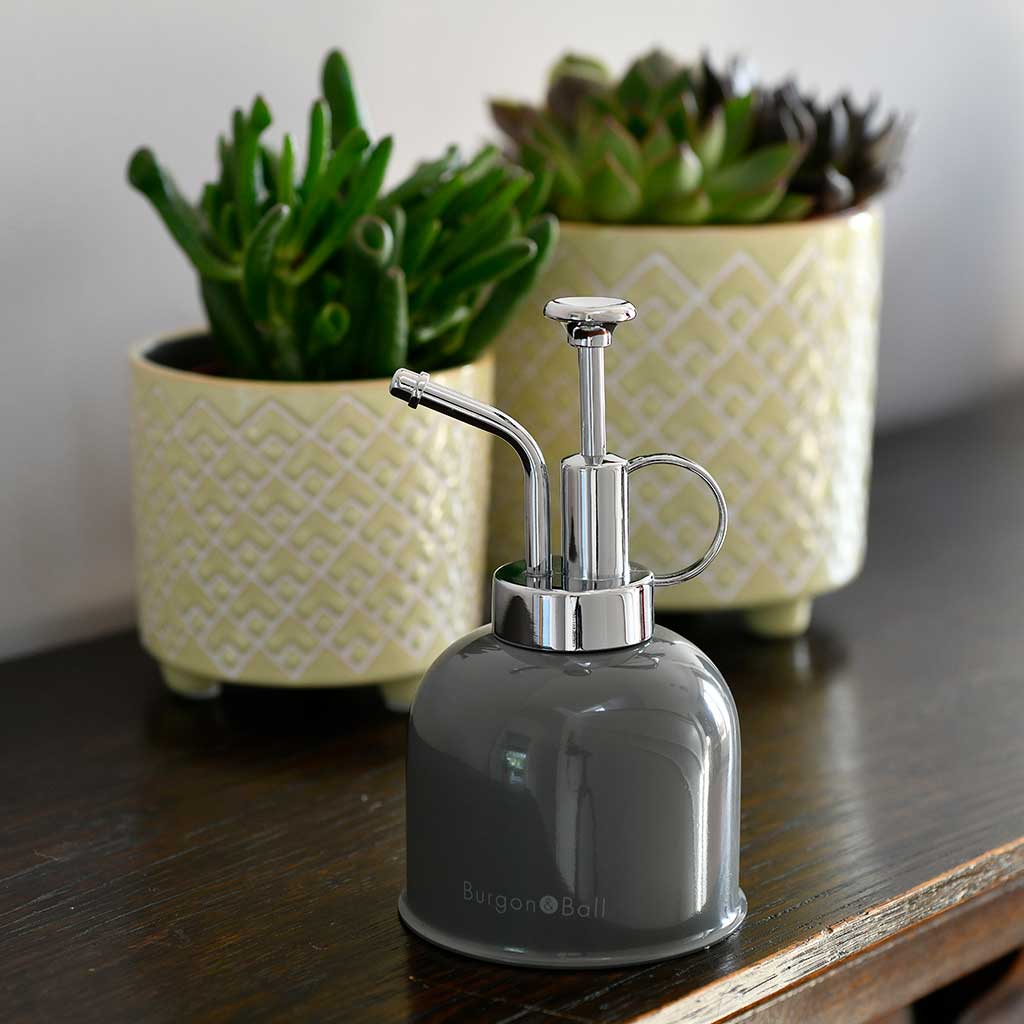 Indoor Plant Mister Charcoal & Houseplants