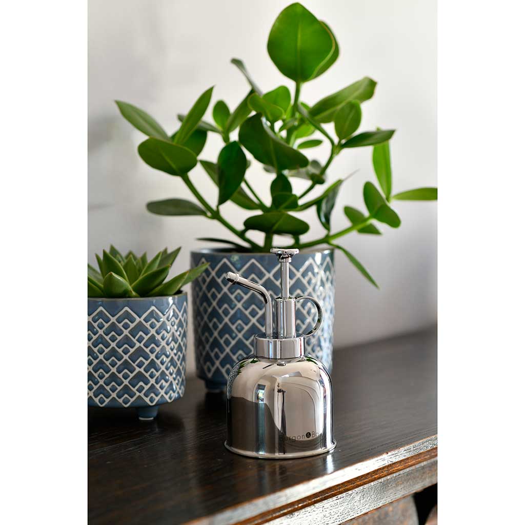 Indoor Plant Mister Stainless Steel & Plant Pots