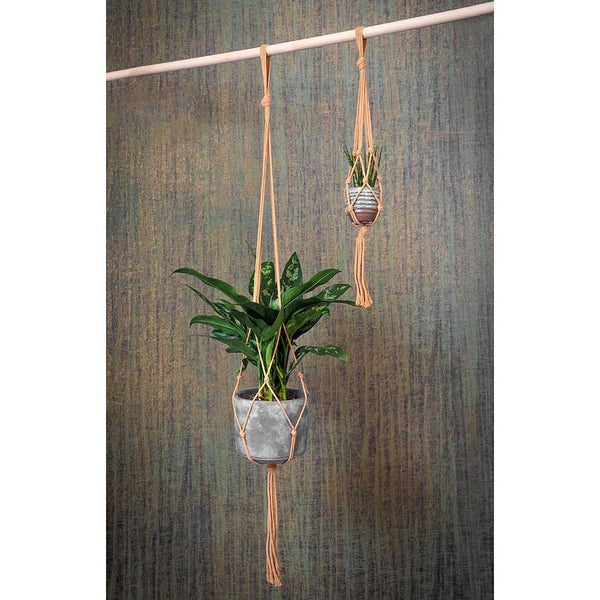 Rope hanging store planter