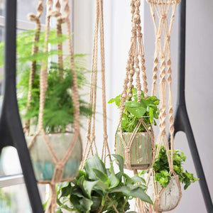 Plant Pot Macrame Hanger - Natural with Beads - Planted