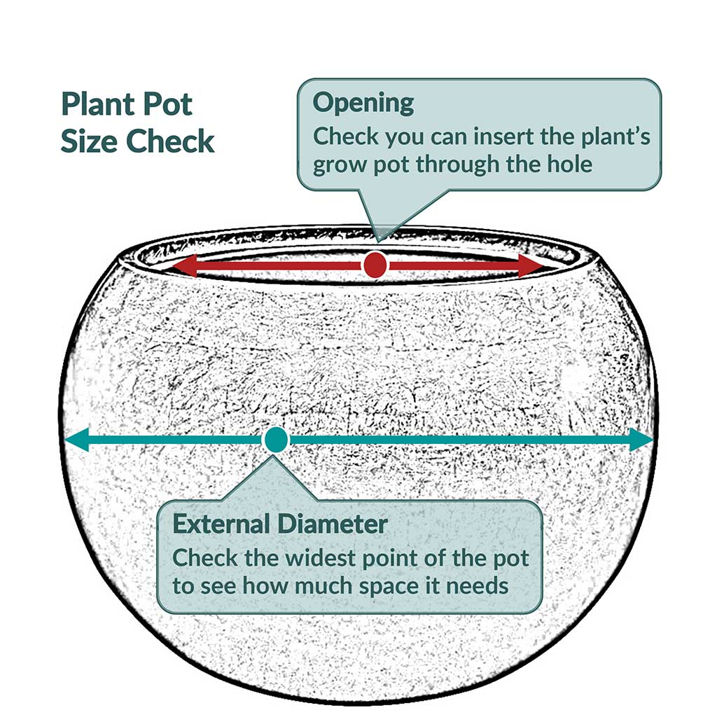 Patt Plant Pot - White Washed Size Check