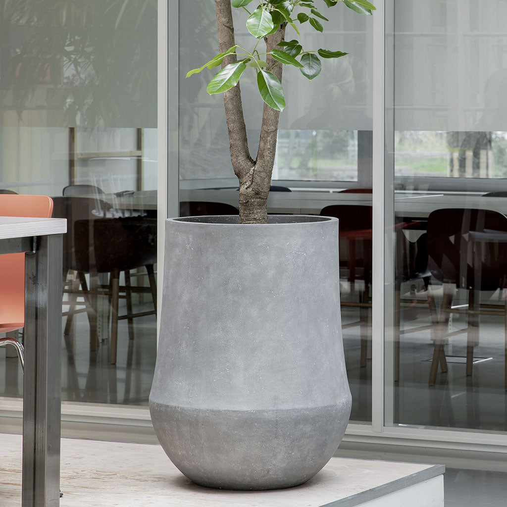 Polystone Coated Darcy Planter - Raw Grey & tree outdoors