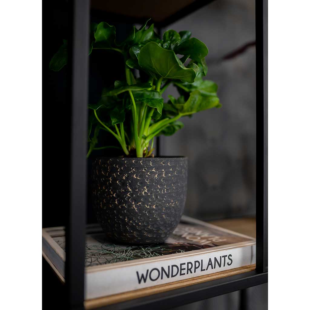 Rinca Plant Pot Shiny Midnight Quality Plant Pots Hortology