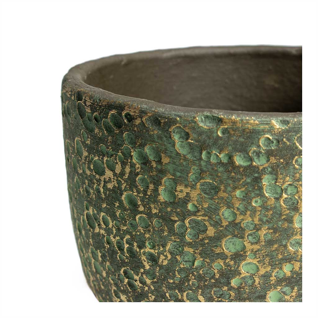 Rinca Plant Pot - Shiny Green Texture
