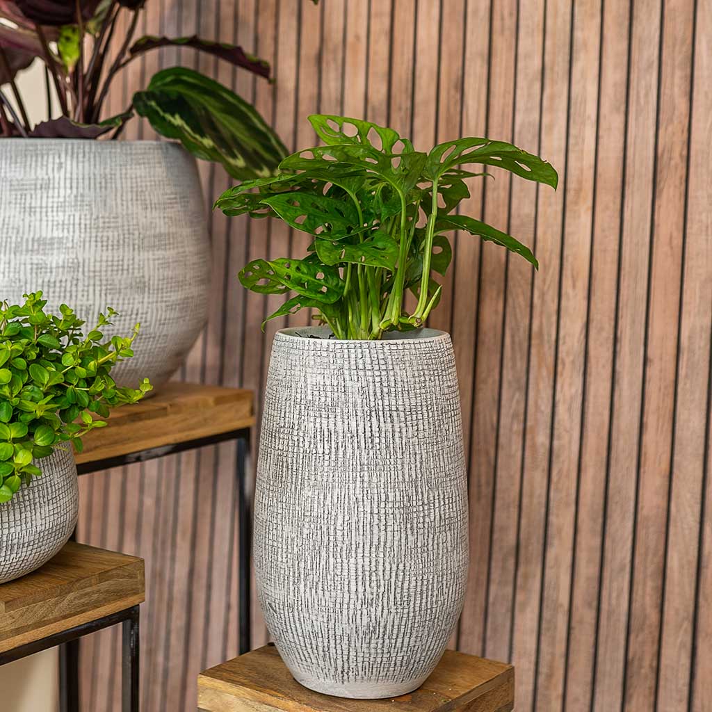 Ryan Plant Vase - White Black & Houseplant