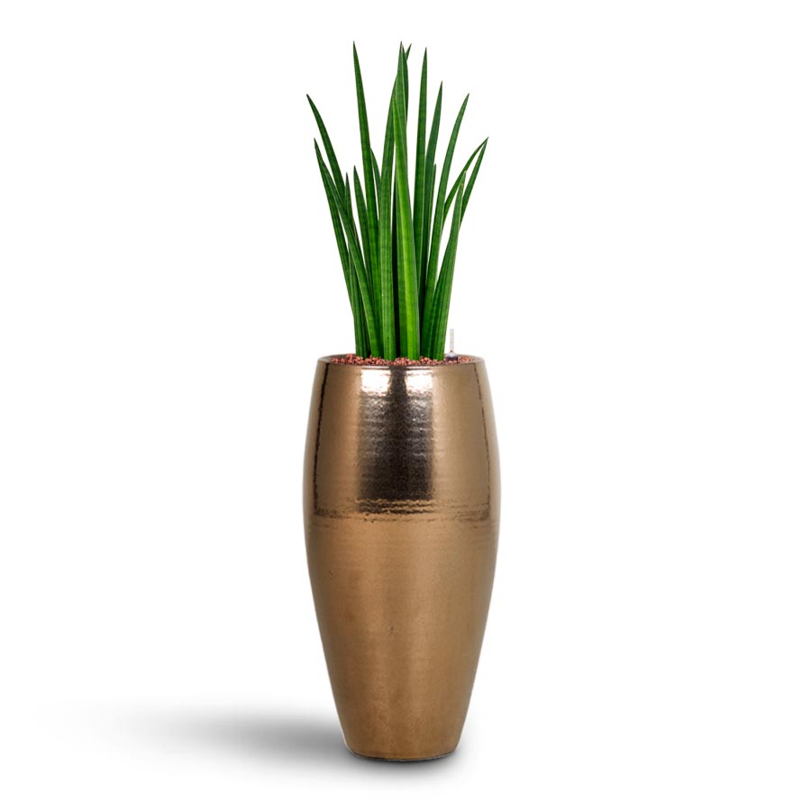 Amora Plant Vase - Black Gold