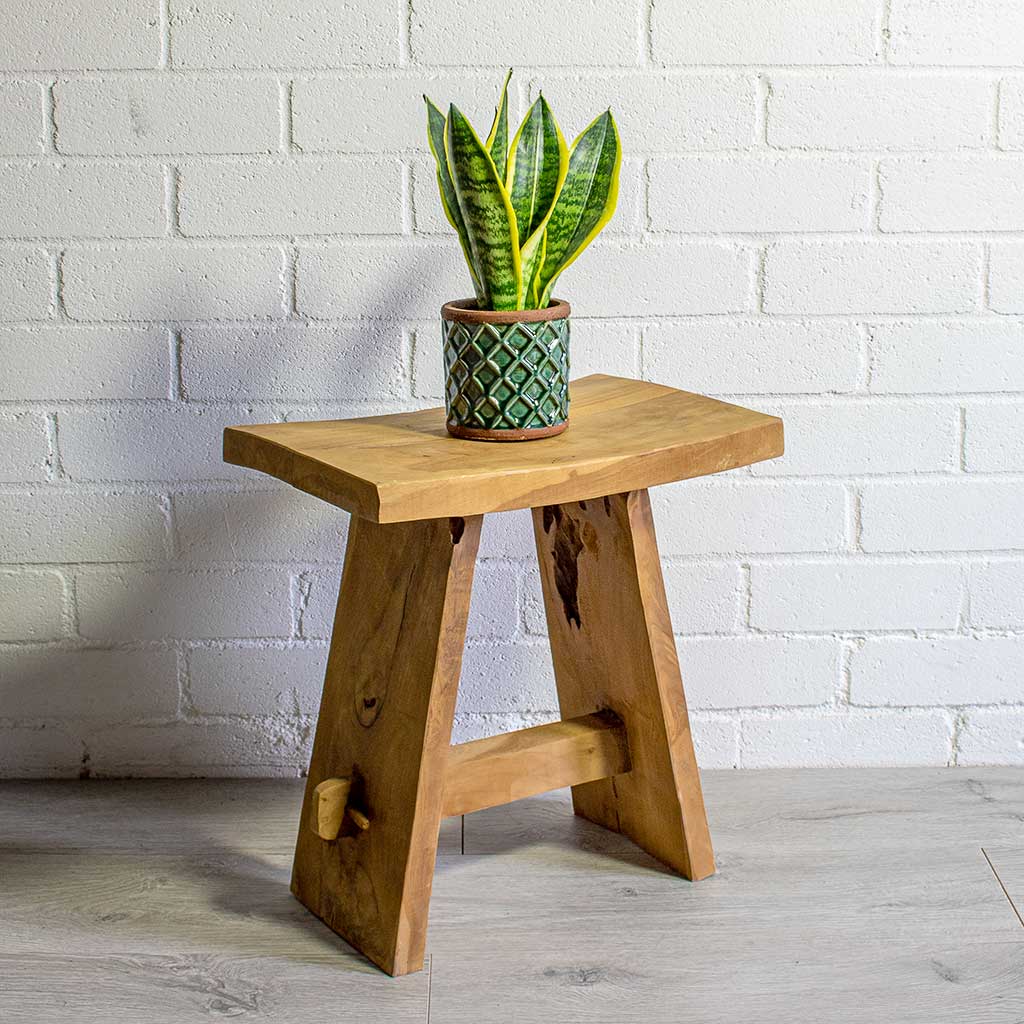 Sansevieria trifasciata Futura Superba & Liam Turquoise Plant Pot