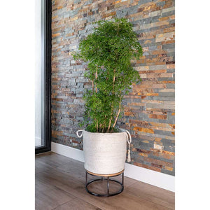 Stefan Plant Basket - Natural & Indoor Tree