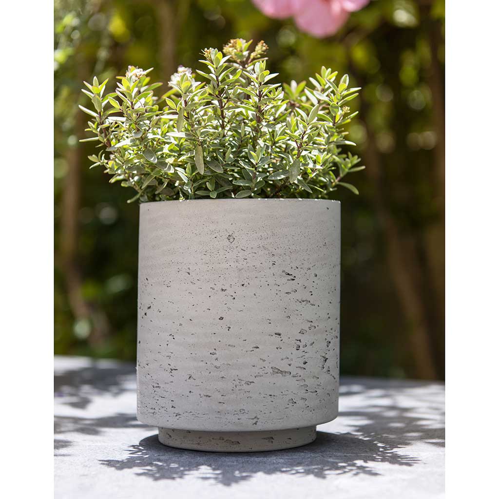 Suzi Plant Pot - Grey Washed & Outdoor Plant