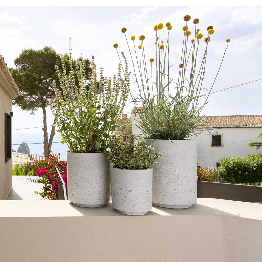 Suzi Plant Pots - Grey Washed & Outdoor Plants