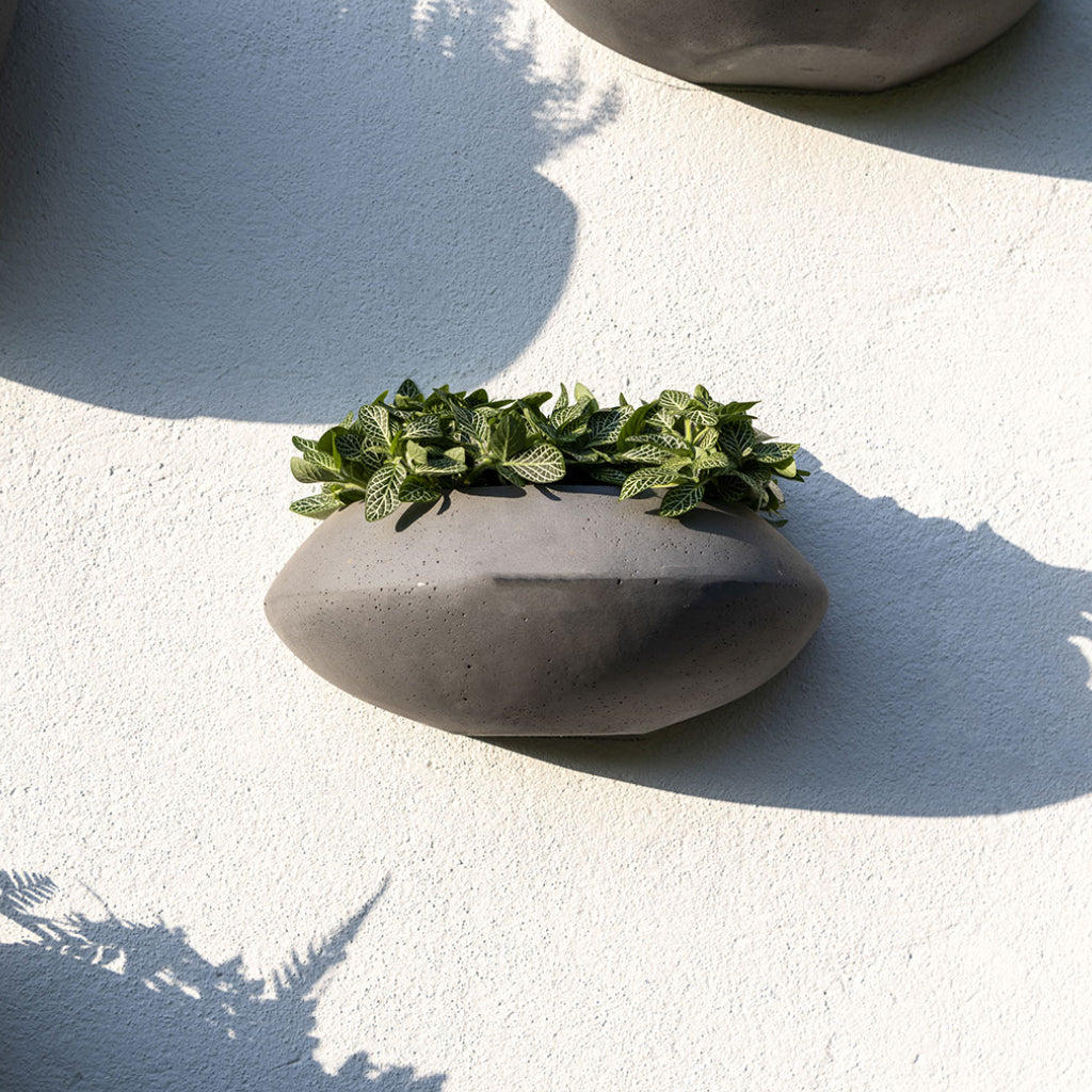 Tara Natural Wall Planter - Black