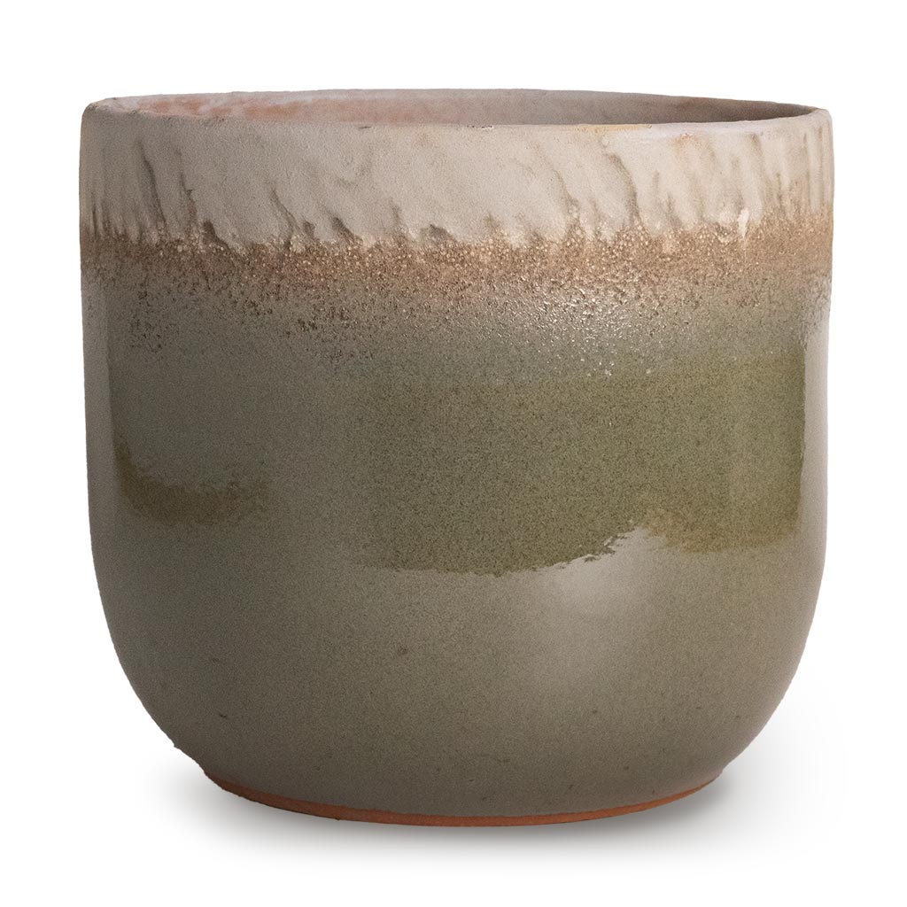 Tarra Plant Pot in Forest Small