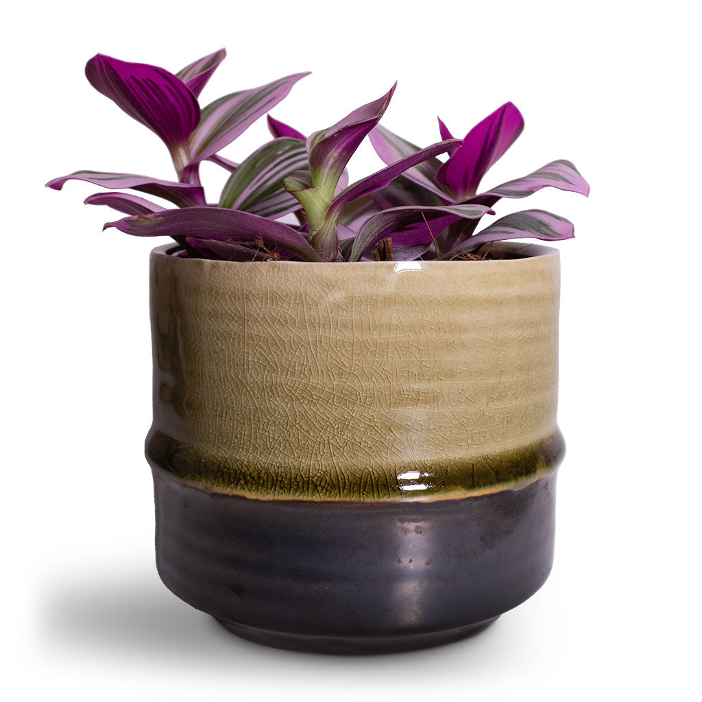 Marlijn Plant Pot - Thyme & Nanouk