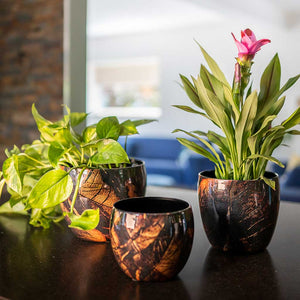 Vive Metal Plant Pots Set of 3 Lava with Plants Lifestyle