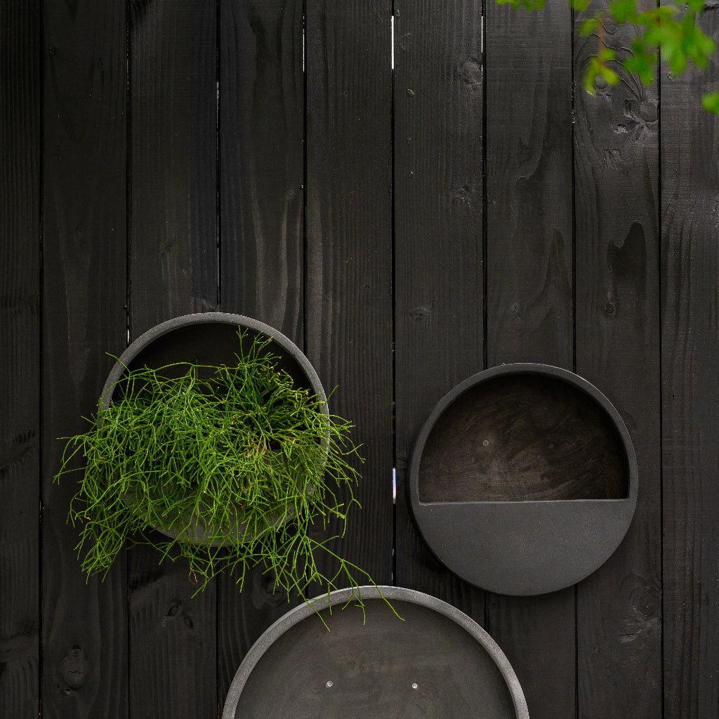 Wally Natural Wall Planter - Black With and without plants