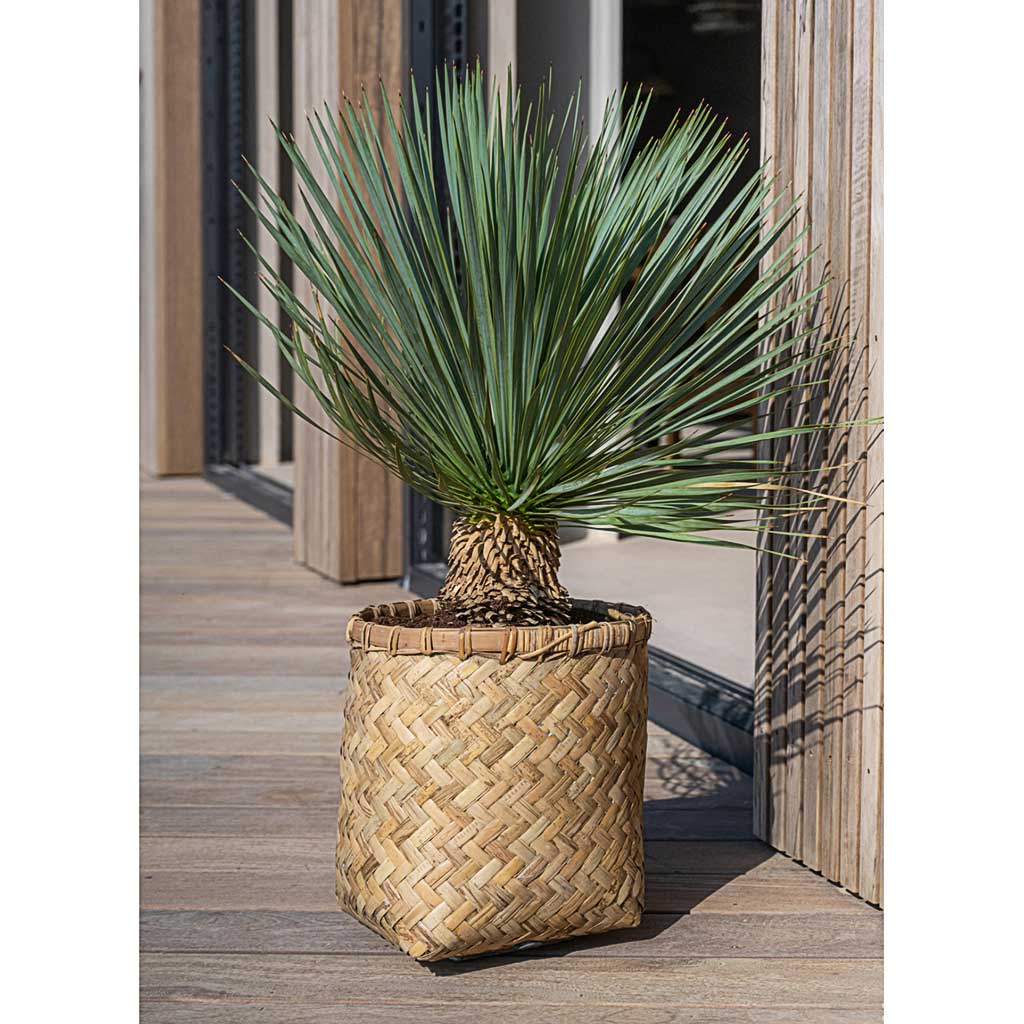 Zayn Bamboo Planter Outdoor