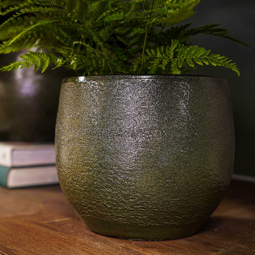 Zembla Plant Pot with Indoor Fern