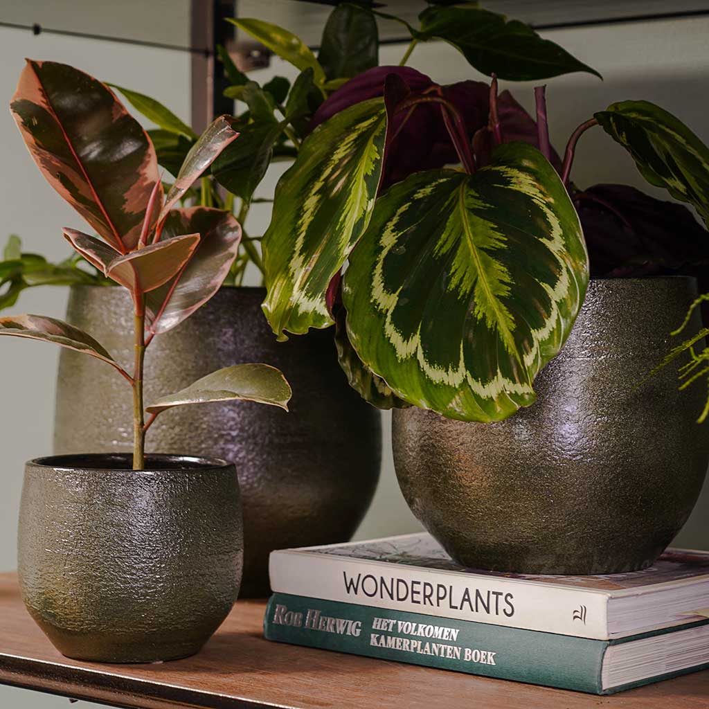 Zembla Plant Pot Collection