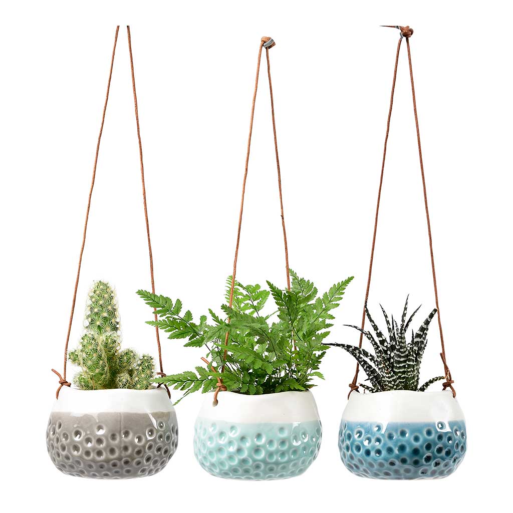Baby Dotty Hanging Indoor Plant Pots Trio