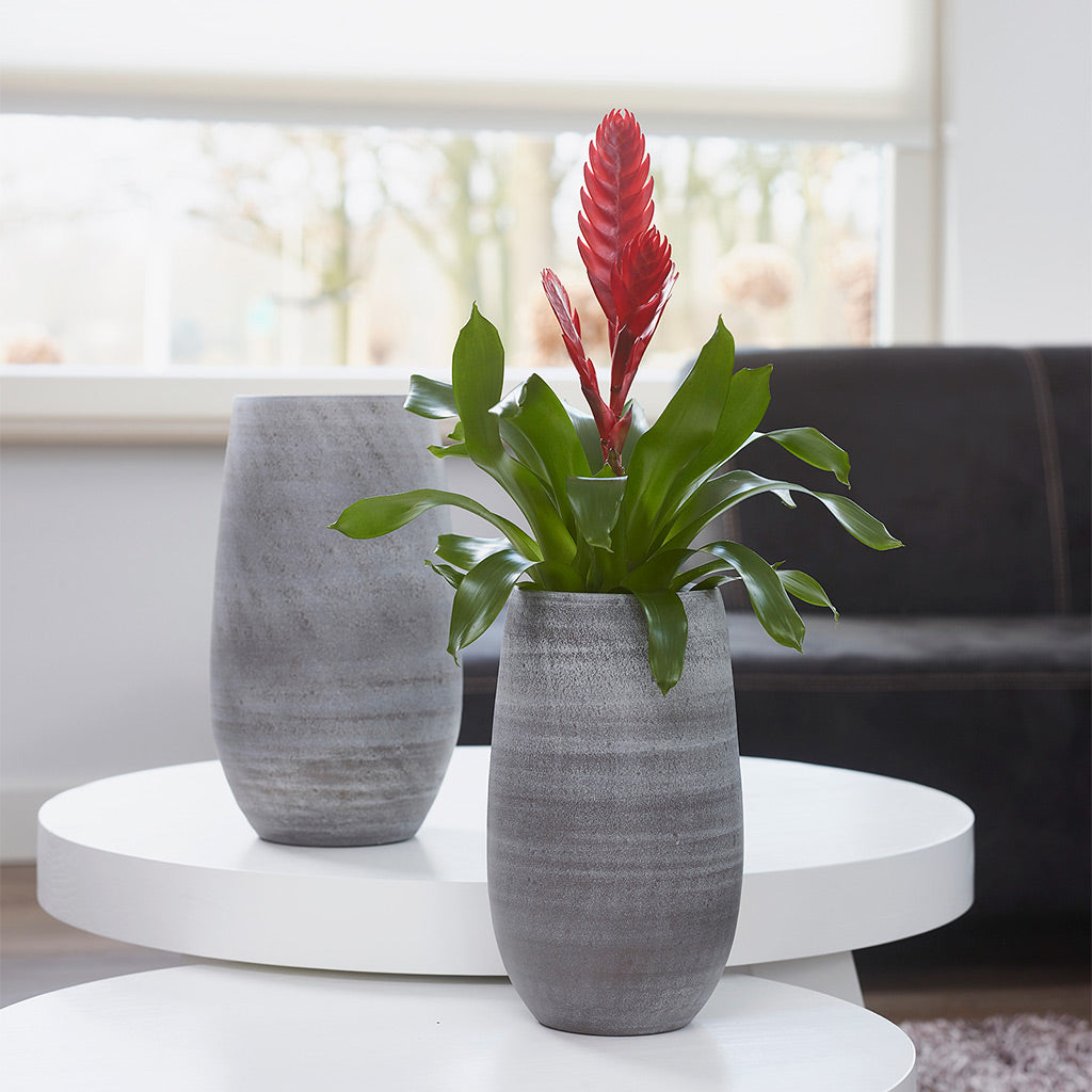 Esra Plant Vases - Mystic Grey
