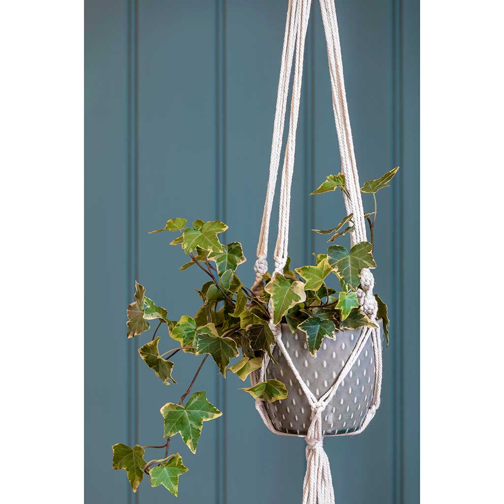 Macrame Hanging Plant Pot with Ivy