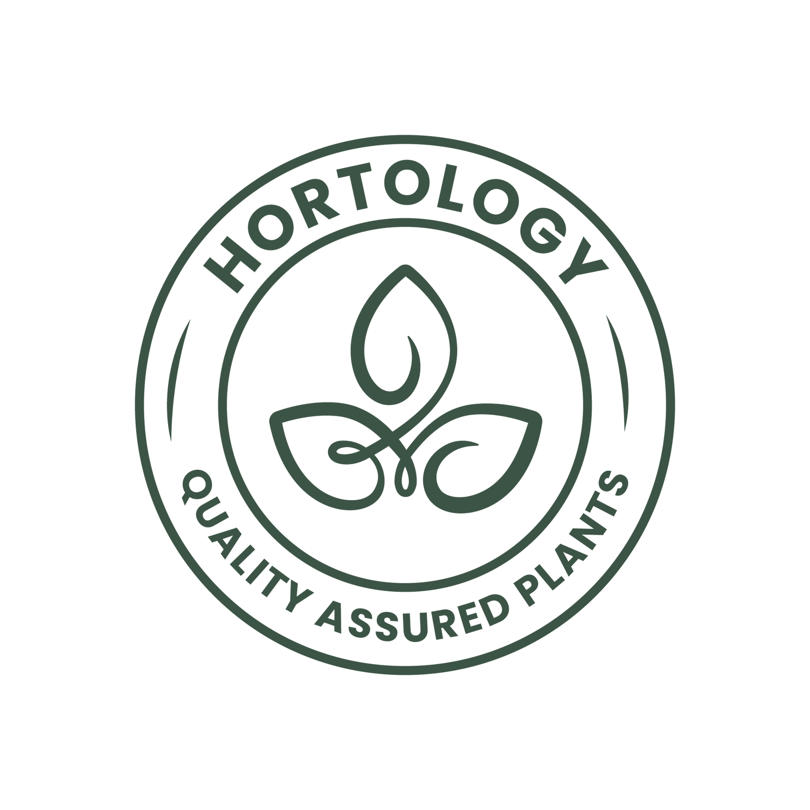 Quality Assured Houseplants From Hortology