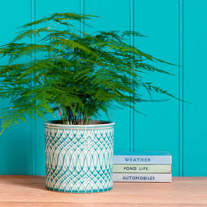 Morocco Indoor Plant Pot - Jade Green Celadon - Planted